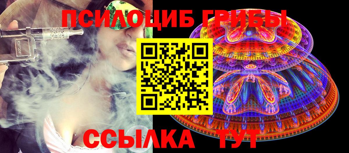 Псилоцибиновые грибы GOLDEN TEACHER  Галлюциногенные грибы мухоморы  Домодедово  Вход с VPN 